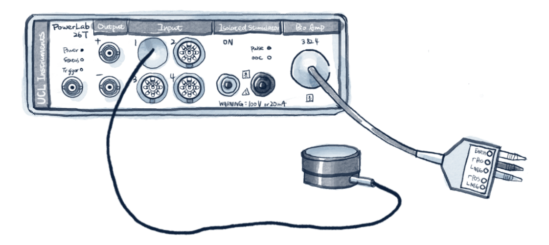 Watercolour illustration of a laboratory recording device
