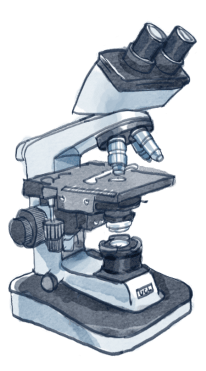 Watercolour illustration of a laboratory microscope